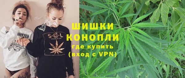 apvp Белокуриха